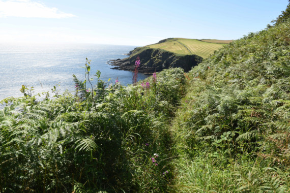 New study finds Isle of Man enjoys exceptionally clean air