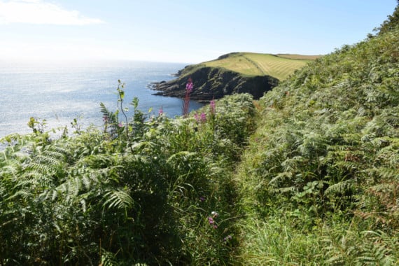 New study finds Isle of Man enjoys exceptionally clean air