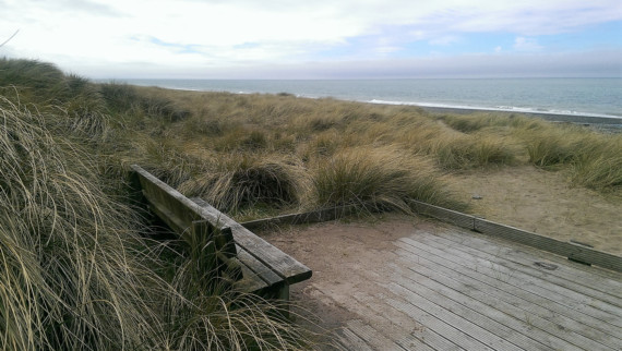 Beach cleaning charity to visit Ayres Nature Reserve this weekend