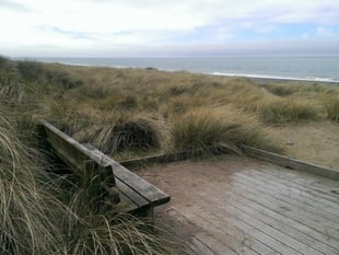 Beach cleaning charity to visit Ayres Nature Reserve this weekend
