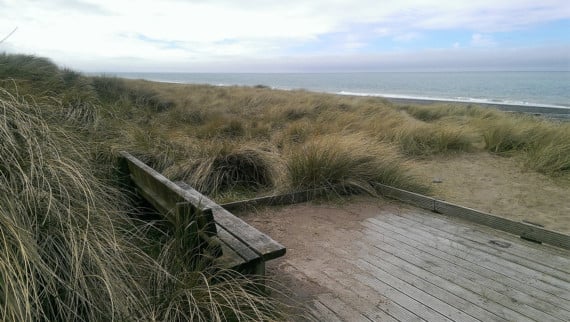 Beach cleaning charity to visit Ayres Nature Reserve this weekend