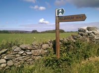 Ban bikes from Millennium Way?