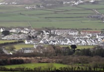 Primary school asks parents not to bring cake in