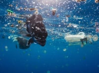 Island charity launches art competition for environmental awareness