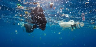 Island charity launches art competition for environmental awareness