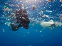 Island charity launches art competition for environmental awareness
