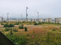 Owners get three more weeks to clean up their act