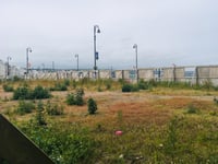 Owners get three more weeks to clean up their act