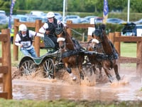 National carriage driving title for Libby Priest