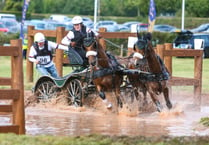 National carriage driving title for Libby Priest