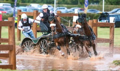National carriage driving title for Libby Priest
