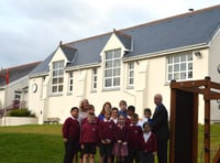 Pupils' initiatives praised