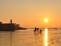 A deep dive into the Manx Nature Reserve of Port Erin Bay