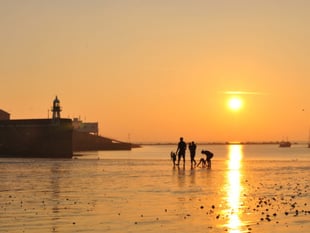 A deep dive into the Manx Nature Reserve of Port Erin Bay