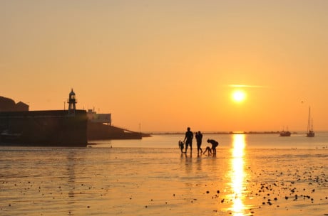 A deep dive into the Manx Nature Reserve of Port Erin Bay