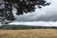 Isle of Man TT 2024: Weather - Monday, June 3