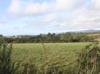Dog bit woman on thigh in 'totally out of character' attack