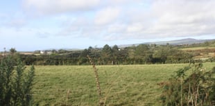 Dog bit woman on thigh in 'totally out of character' attack