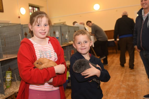 Manx cat and call duck among show winners