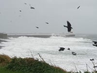 Amber weather warning from Met Office