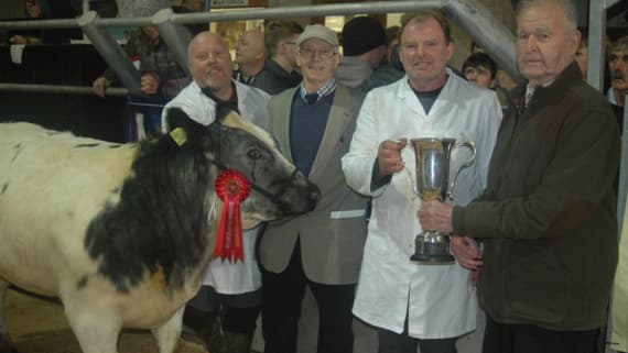 The Manx Primestock shows kick off on Thursday | iomtoday.co.im