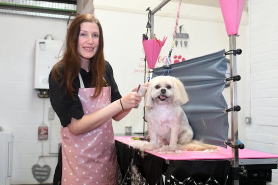Megan's tears of joy as she returns to work grooming dogs