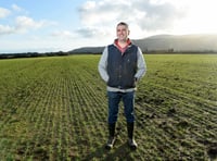 Call for clearer labelling: People should know what they're eating