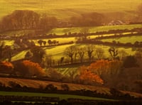Planning approval given for new nature reserve in East Baldwin