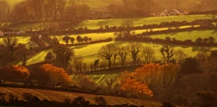 Planning approval given for new nature reserve in East Baldwin