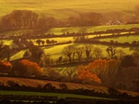 Planning approval given for new nature reserve in East Baldwin