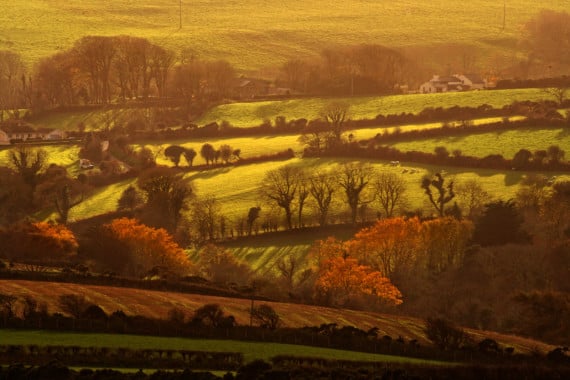 Planning approval given for new nature reserve in East Baldwin