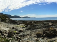 Beach Buddies to go to Niarbyl