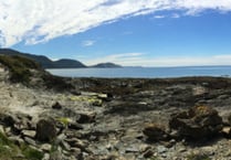 Beach Buddies to go to Niarbyl