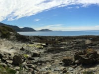 Beach Buddies to go to Niarbyl