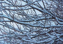 Snow warning issued