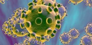 Four new cases of Coronavirus detected