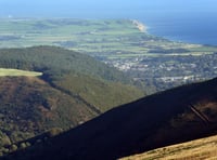 Woodland grant scheme as part of island's battle against climate change