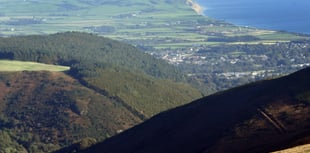 Woodland grant scheme as part of island's battle against climate change