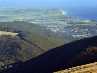 Woodland grant scheme as part of island's battle against climate change