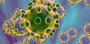 87 new cases of Coronavirus detected