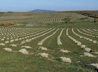 70,000 trees planted as 'People's Wood' in Santon nears completion