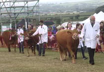 Entries now open for summer's major shows