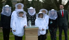 School gets grant for beehives