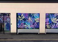 Council's art mural plans