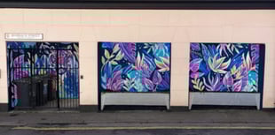 Council's art mural plans