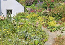 £5,000 raised from garden visits