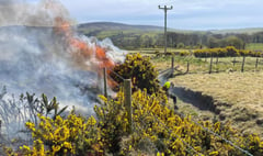 Public urged to dial 999 if they see fire