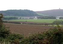 Patrick farm may get tearoom and a produce shop