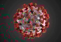 65 new cases of Covid-19