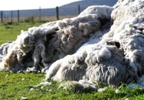 Farmer's solution to wool waste